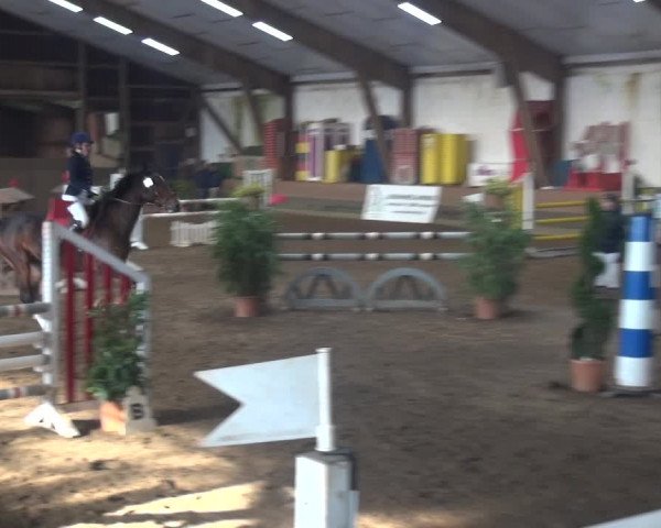Reitturnier Hamburg-Hummelsbüttel 2018