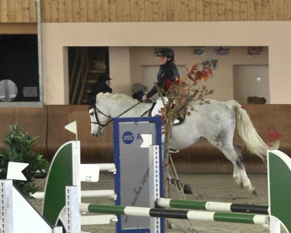 Reitturnier Dettingen 2018