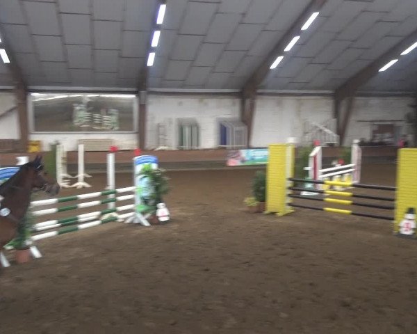 Reitturnier Hamburg-Hummelsbüttel 2018