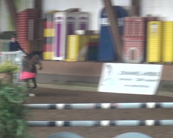 Reitturnier Hamburg-Hummelsbüttel 2018