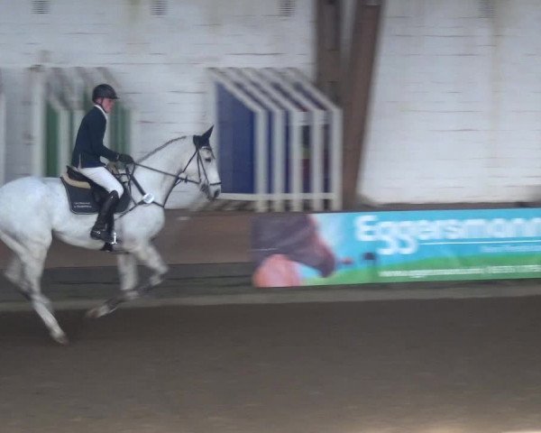 Reitturnier Hamburg-Hummelsbüttel 2018