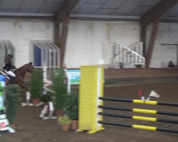 Reitturnier Hamburg-Hummelsbüttel 2018