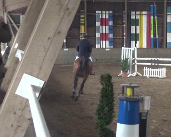 Reitturnier Hamburg-Hummelsbüttel 2018