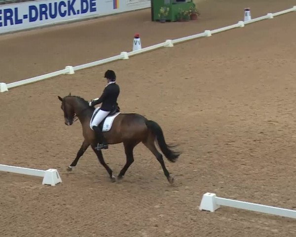 Reitturnier Kreuth 2018
