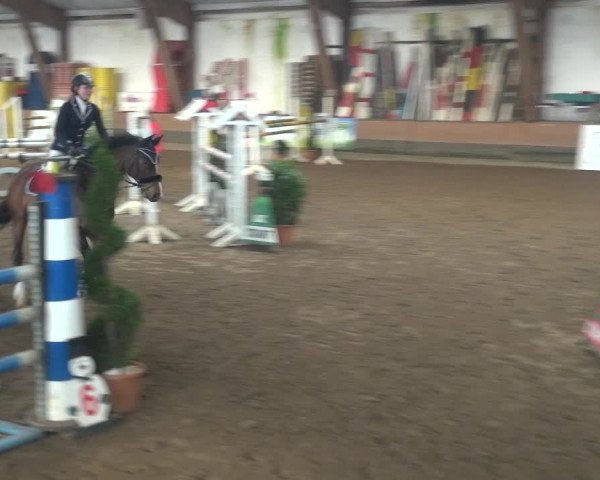 Reitturnier Hamburg-Hummelsbüttel 2018