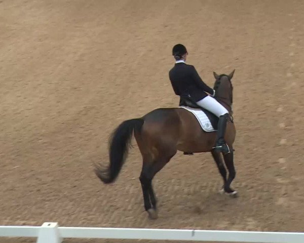 Reitturnier Kreuth 2018