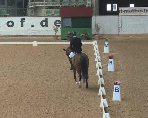 Reitturnier Kreuth 2018