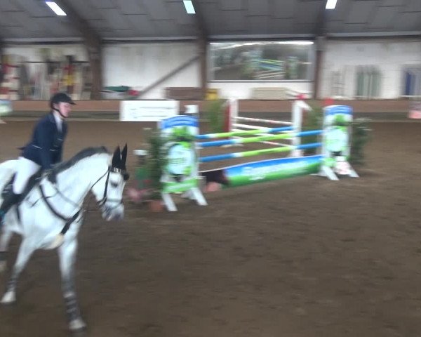 Reitturnier Hamburg-Hummelsbüttel 2018