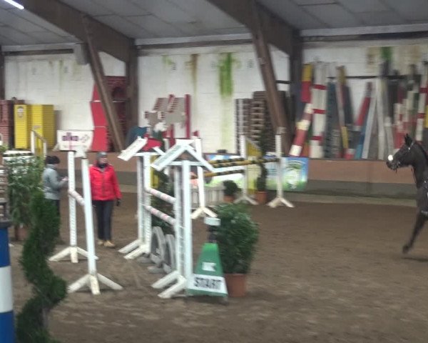 Reitturnier Hamburg-Hummelsbüttel 2018