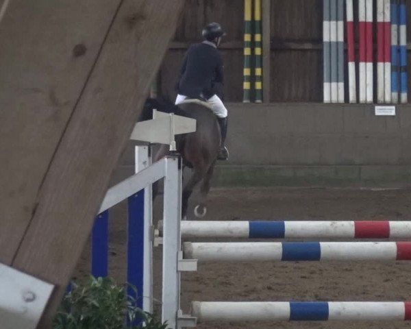 Reitturnier Hamburg-Hummelsbüttel 2018