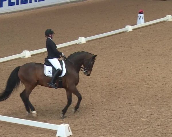 Reitturnier Kreuth 2018