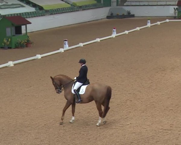 Reitturnier Kreuth 2018