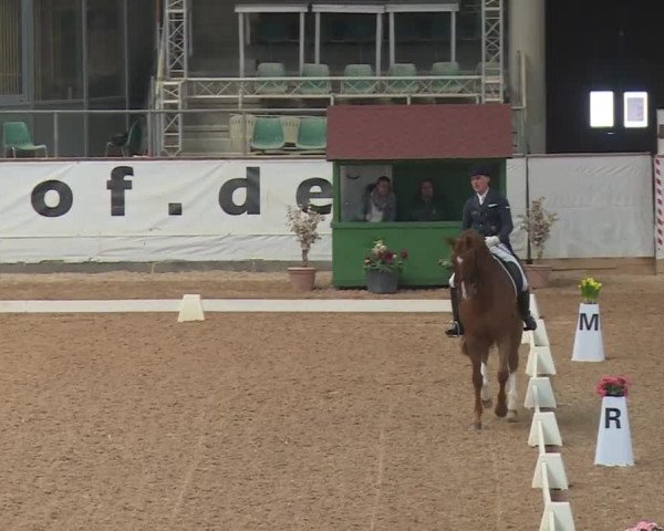 Reitturnier Kreuth 2018