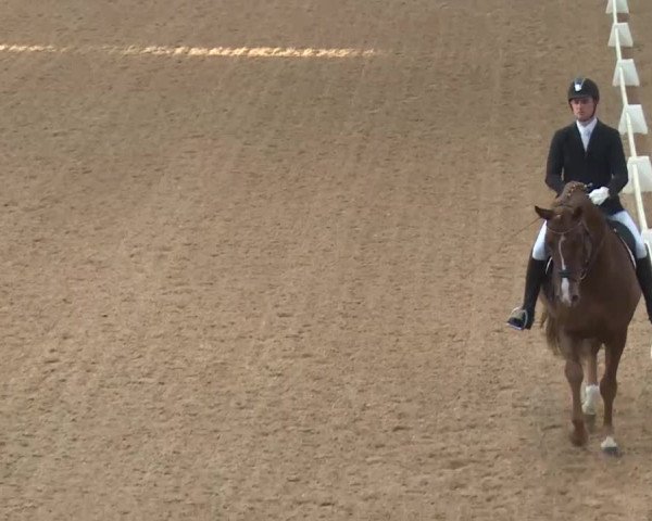 Reitturnier Kreuth 2018