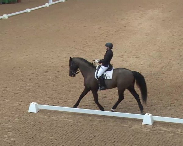 Reitturnier Kreuth 2018