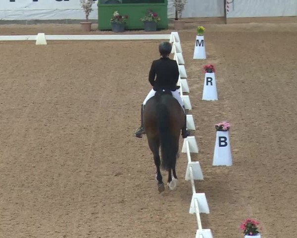 Reitturnier Kreuth 2018