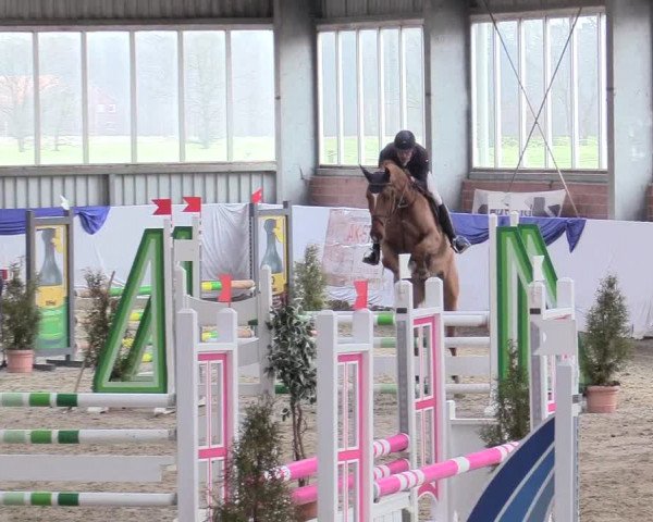 Reitturnier Greven 2018