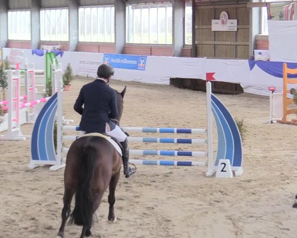 Reitturnier Greven 2018