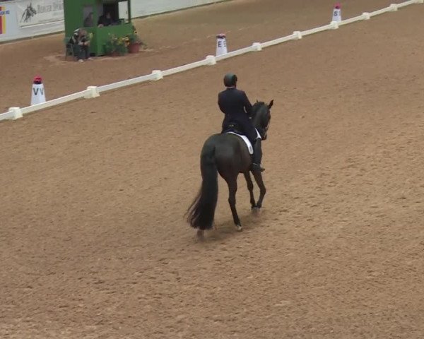 Reitturnier Kreuth 2018