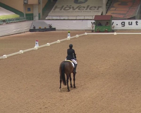 Reitturnier Kreuth 2018