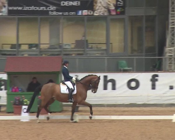 Reitturnier Kreuth 2018