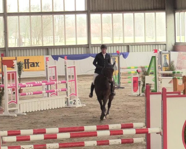 Reitturnier Greven 2018