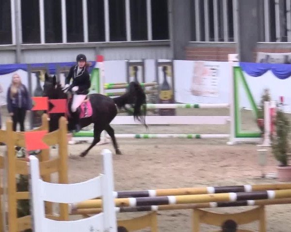 Reitturnier Greven 2018