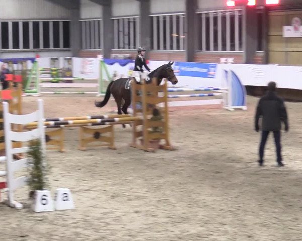 Reitturnier Greven 2018