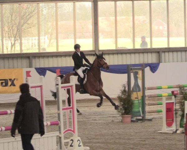 Reitturnier Greven 2018