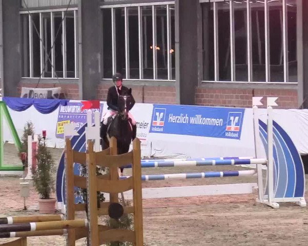 Reitturnier Greven 2018