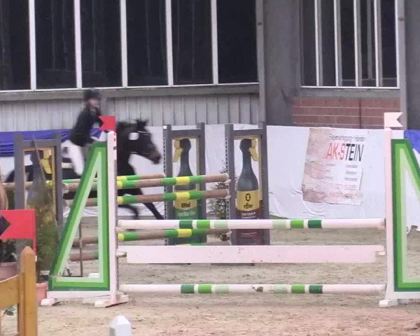 Reitturnier Greven 2018