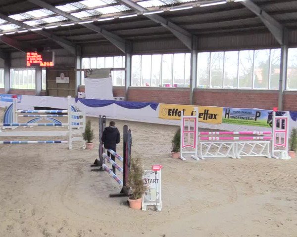 Reitturnier Greven 2018
