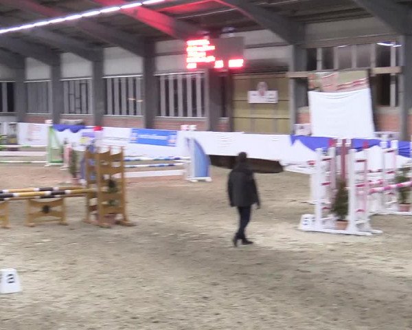 Reitturnier Greven 2018