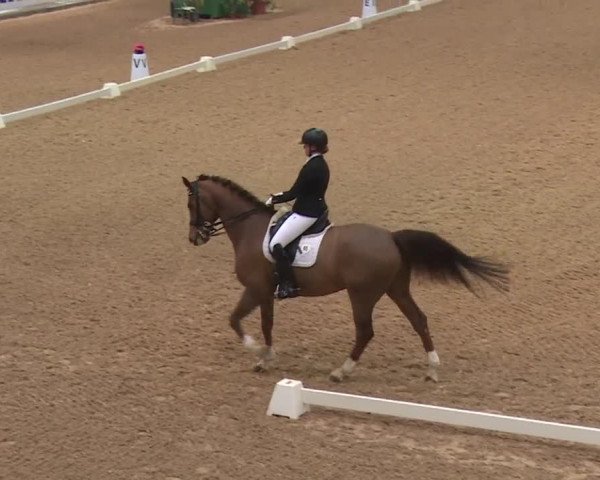 Reitturnier Kreuth 2018