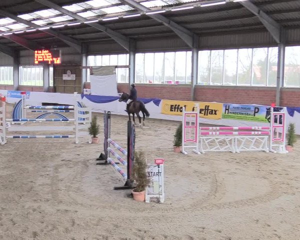 Reitturnier Greven 2018