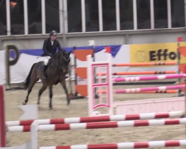 Reitturnier Greven 2018