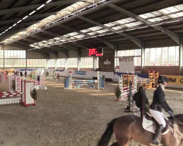 Reitturnier Greven 2018