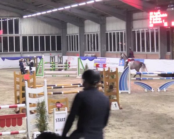Reitturnier Greven 2018
