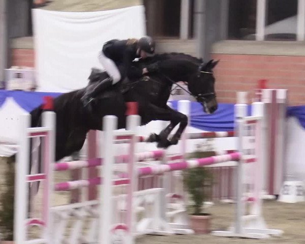 Reitturnier Greven 2018