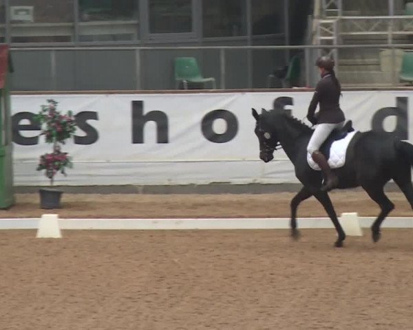 Reitturnier Kreuth 2018
