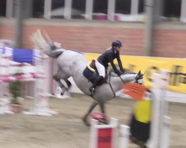 Reitturnier Greven 2018