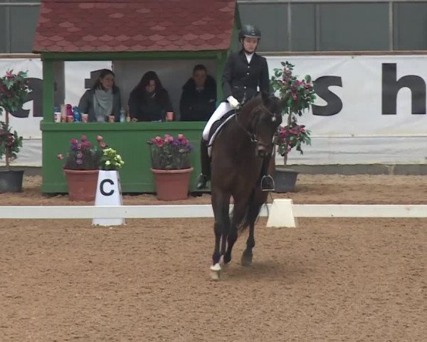 Reitturnier Kreuth 2018