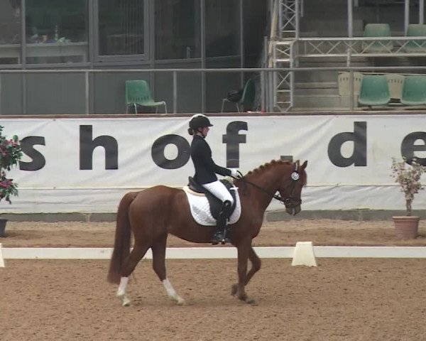 Reitturnier Kreuth 2018