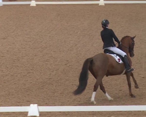 Reitturnier Kreuth 2018