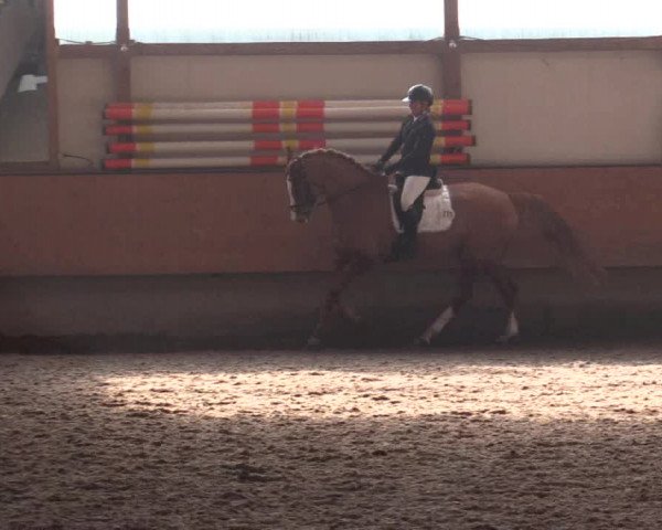 Reitturnier Alt Marl 2018