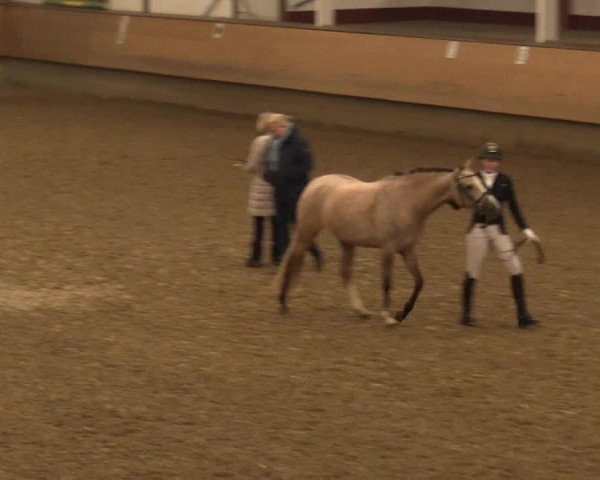Reitturnier Alt Marl 2018