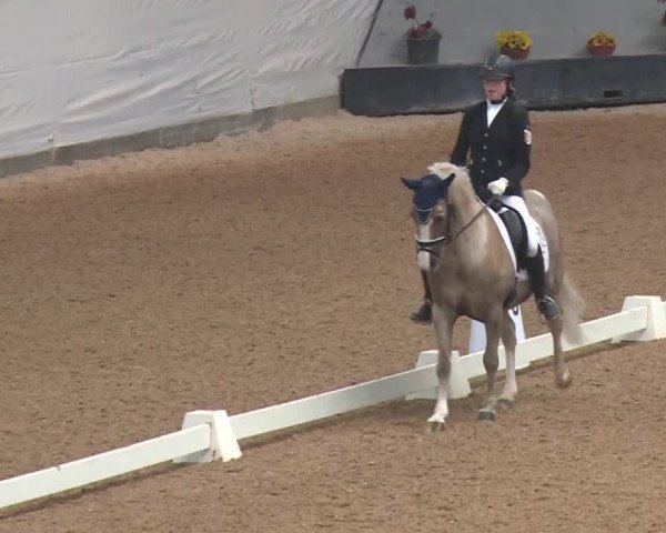 Reitturnier Kreuth 2018