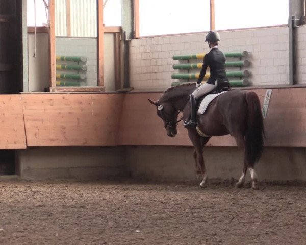 Reitturnier Alt Marl 2018