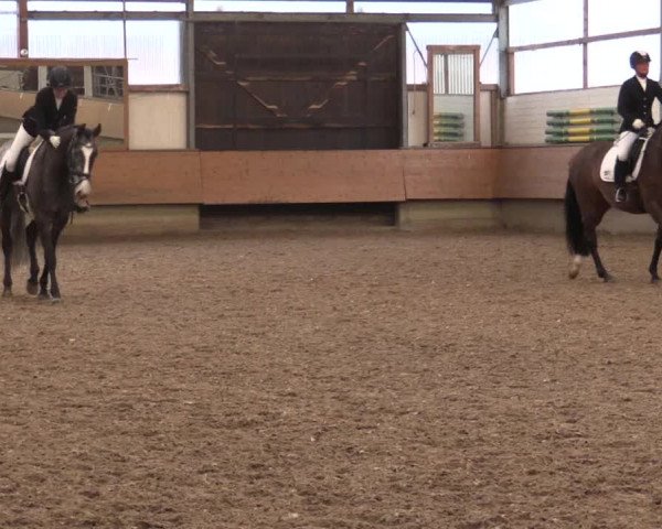 Reitturnier Alt Marl 2018