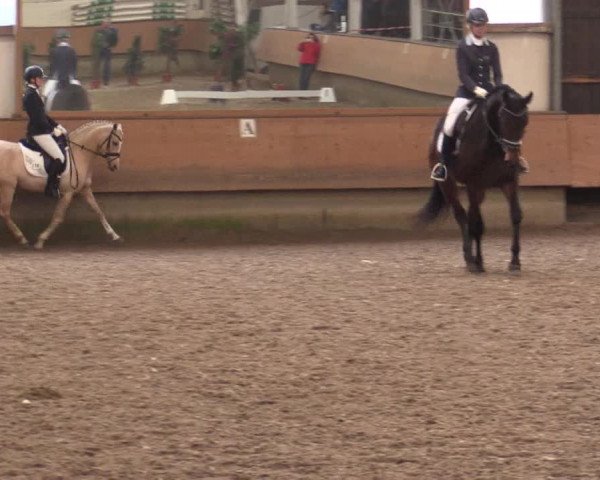 Reitturnier Alt Marl 2018